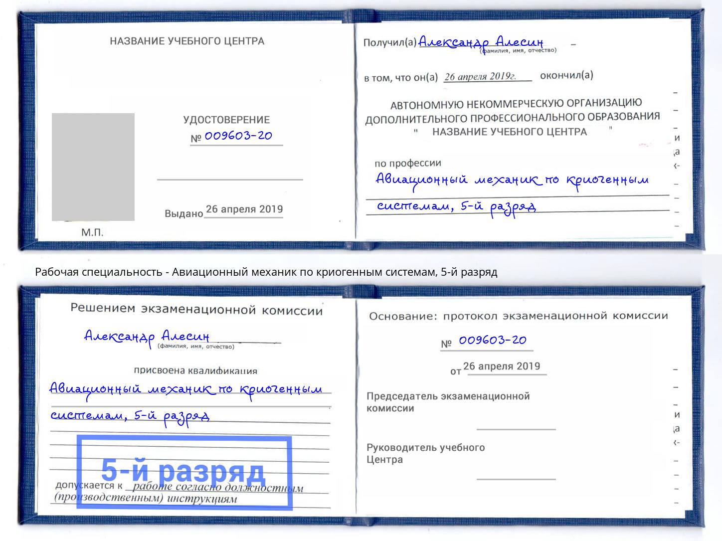 корочка 5-й разряд Авиационный механик по криогенным системам Чапаевск